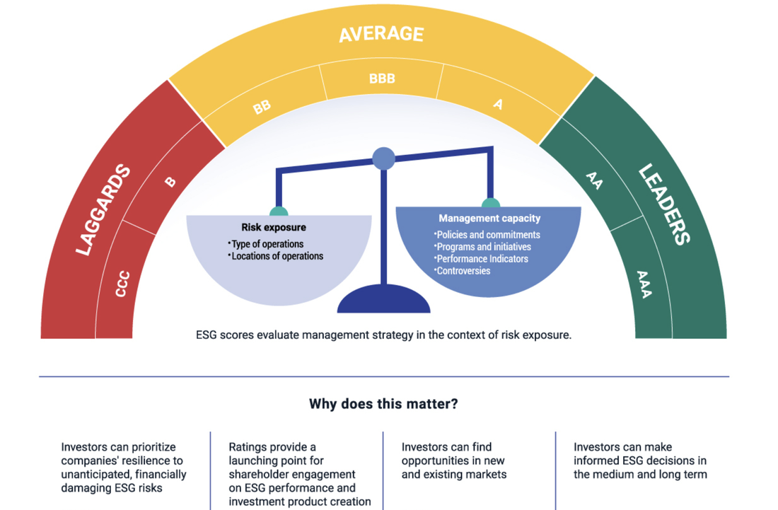 Esg деятельности. ESG принципы. ESG инфографика. Управление ESG проектами. ESG стандарты.